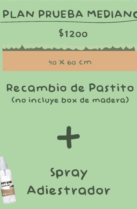 Plan Prueba Mediano
