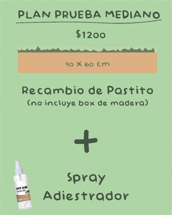 Plan Prueba Mediano