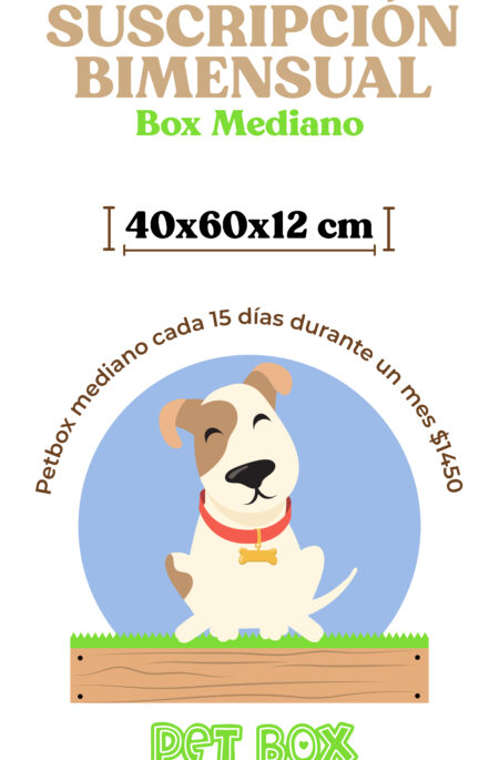 Plan bimensual Mediano