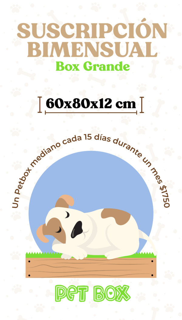 Plan bimensual Grande