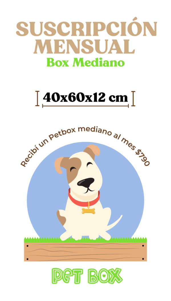Plan mensual Mediano